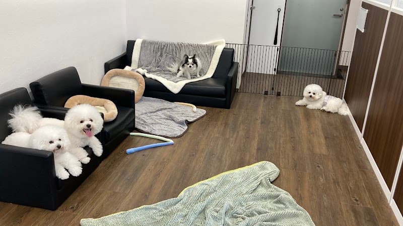 Pet Trimming&Hotel ASMO〜あすも〜の写真
