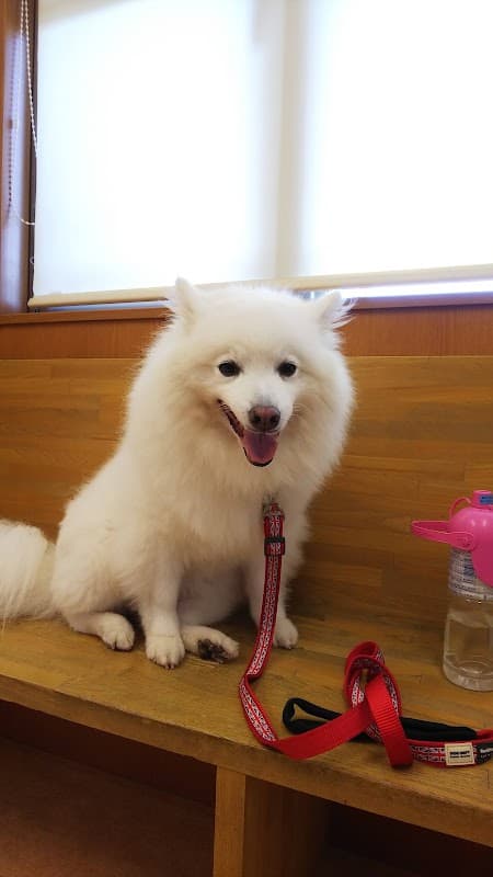 甲斐どうぶつ病院の写真