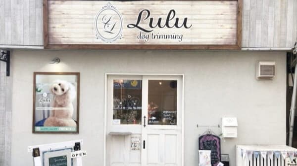 Lulu dog trimmingの写真