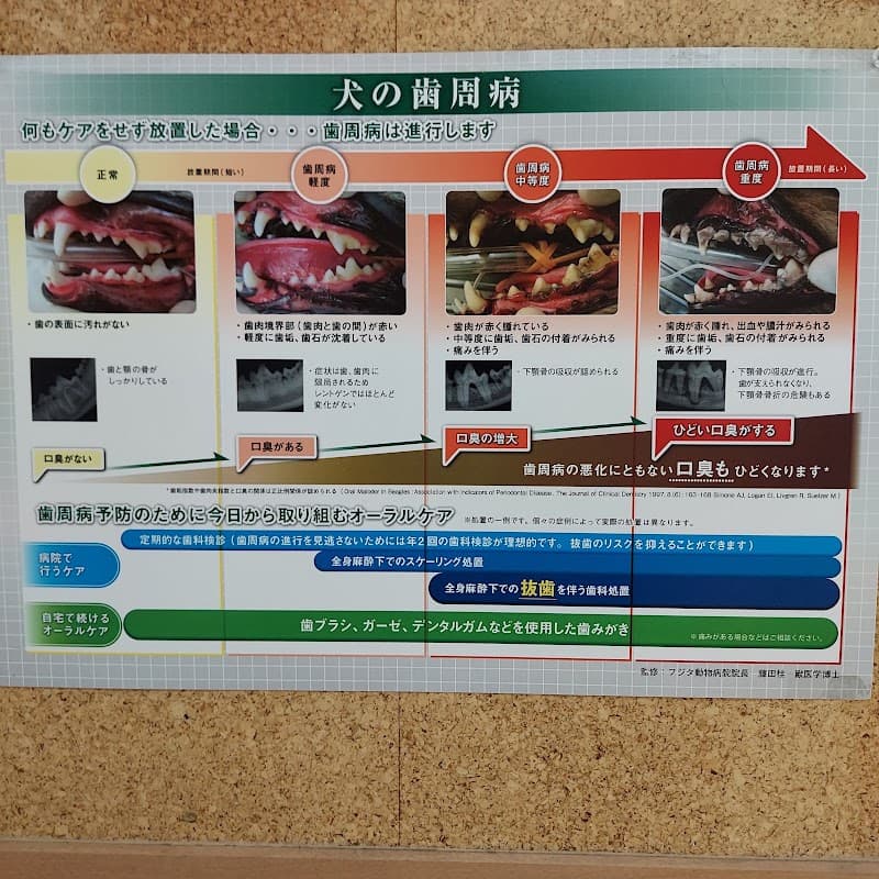 カワムラ獣医科病院の写真