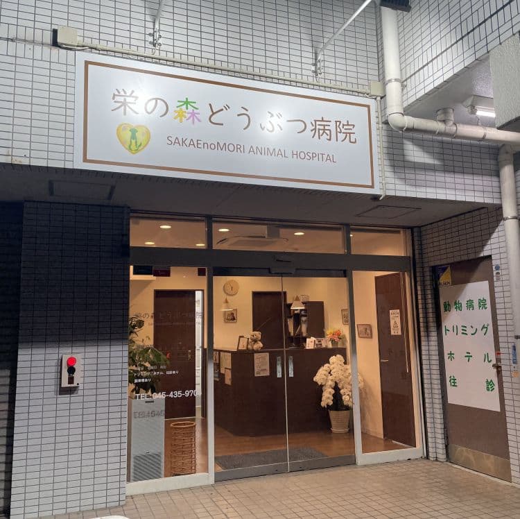 栄の森どうぶつ病院の写真
