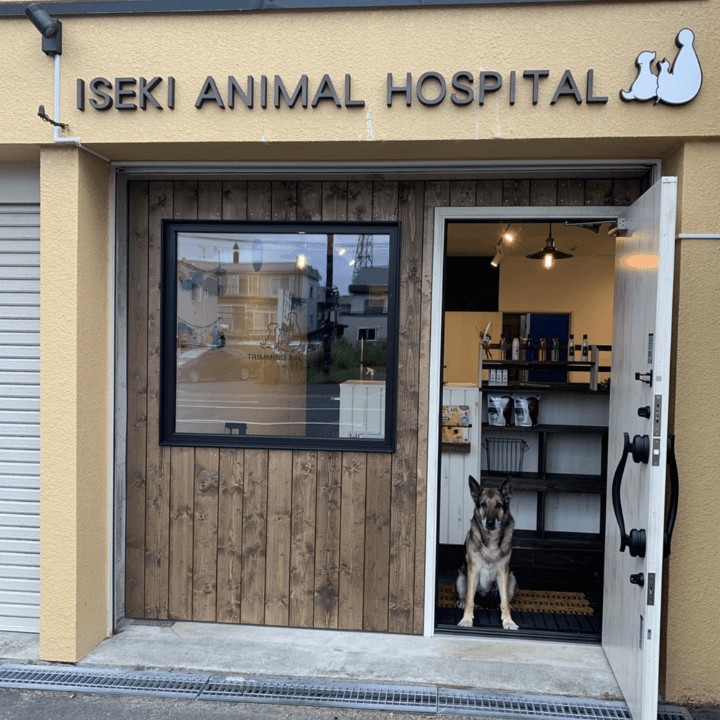 いせき動物病院の写真