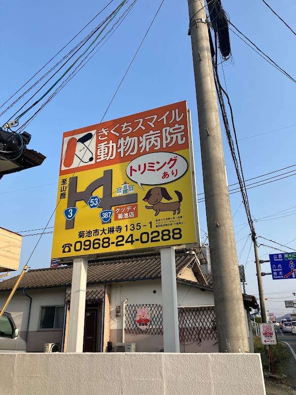 きくちスマイル動物病院の写真