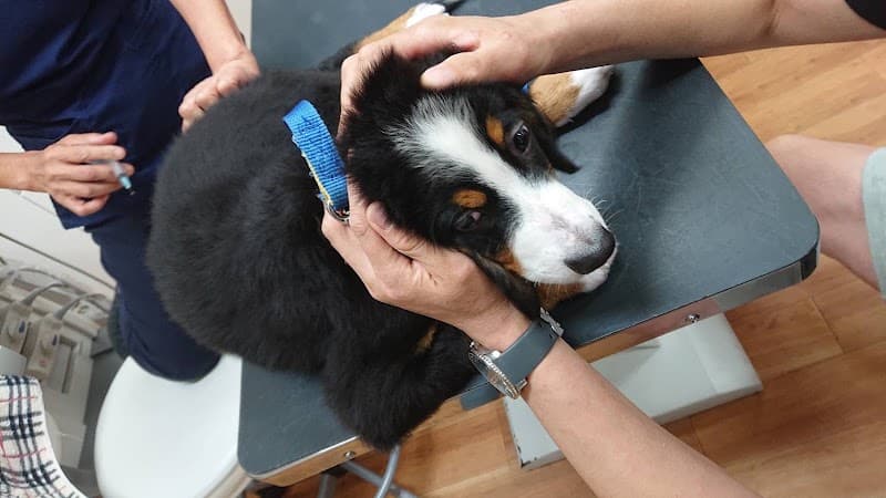 佐伯獣医科病院の写真