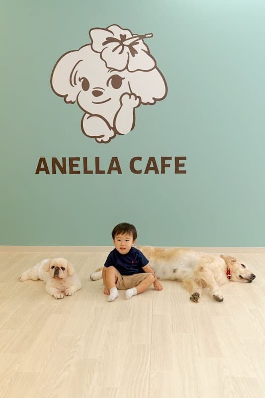 ANELLA CAFE【保護犬猫ふれあいカフェ】南浦和店の写真