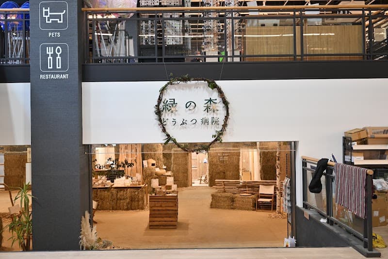 緑の森どうぶつ病院 AZem札幌発寒病院 札幌市の写真