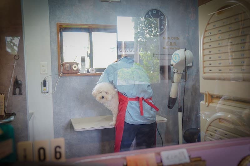 DOGBARBER d.o.n.(犬の理美容室)の写真4