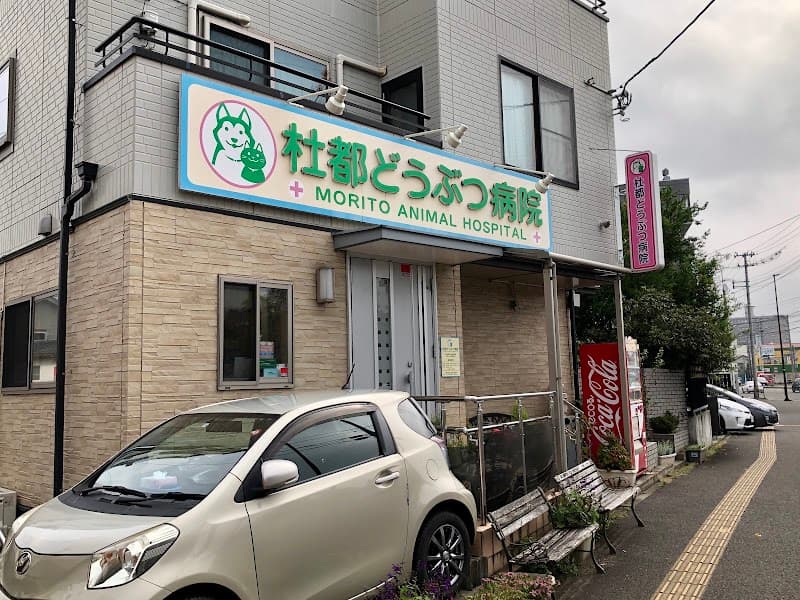 杜都どうぶつ病院の写真