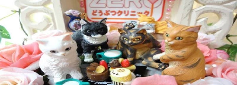 ZEROどうぶつクリニックの写真