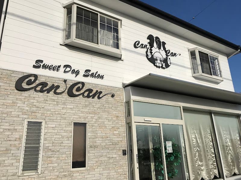 Sweet dog salon CanCanの写真1