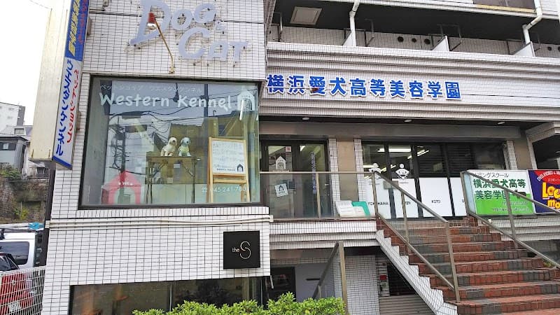 横浜愛犬高等美容学園の写真