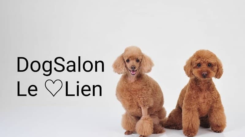 Dog Salon Le Lienの写真