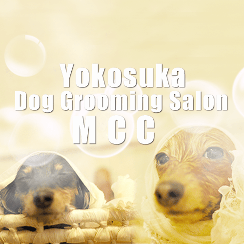 Dog Grooming Salon Michel-Chou-Chouの写真1