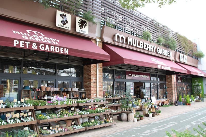 マルベリーガーデン コクーンシティ店の写真