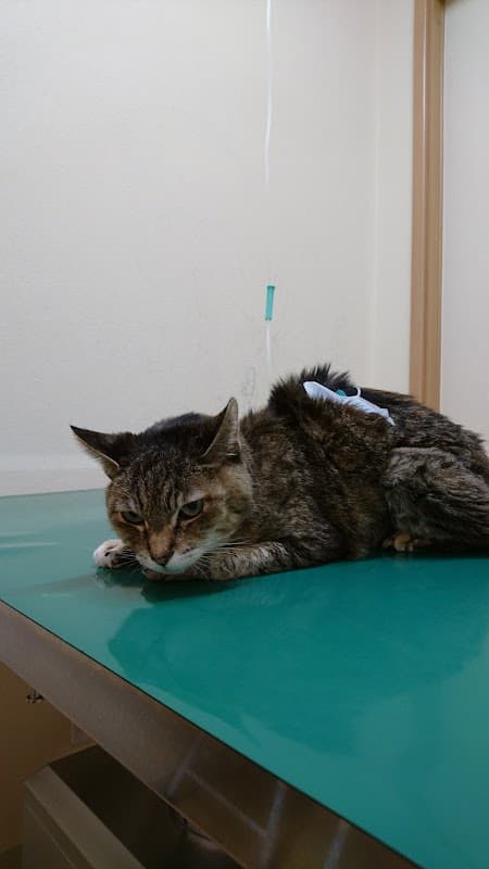 井吹台動物病院の写真