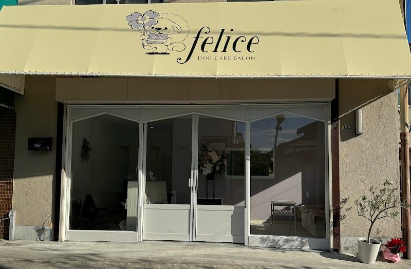 Dog care salon felice(フェリーチェ)の写真5
