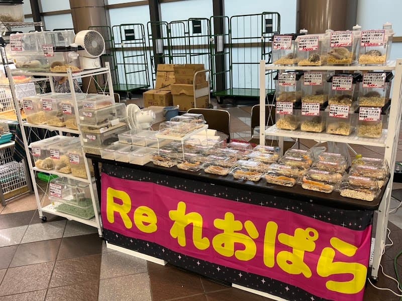 自家繁殖エキゾチックアニマル専門店 REレオパラ【ペットホテルは予約制】の写真