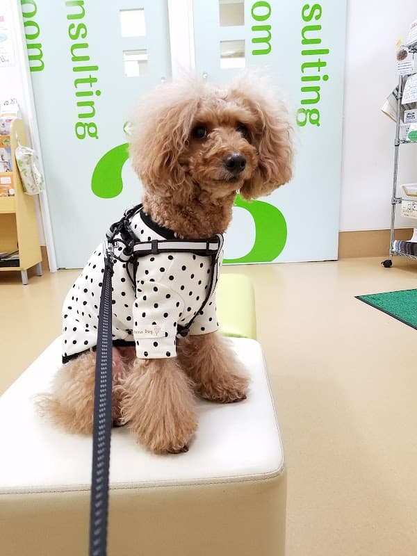 はやし動物病院の写真