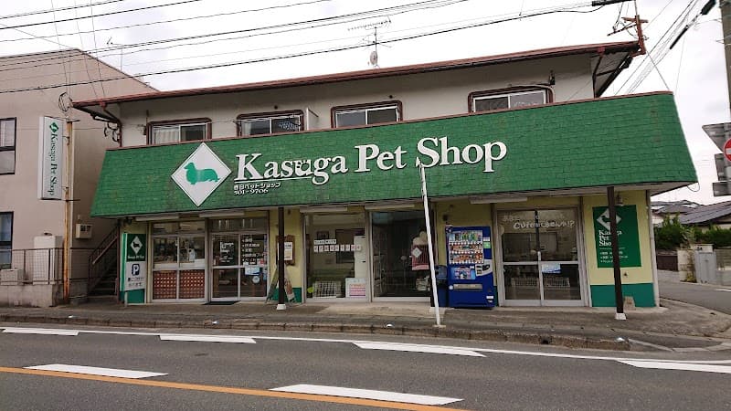 春日ペットショップ(子犬販売・ペット用品販売・トリミング・ペットホテル)の写真1