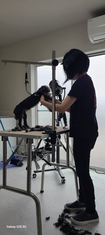 ドッグサロン ナンバーワンの写真3