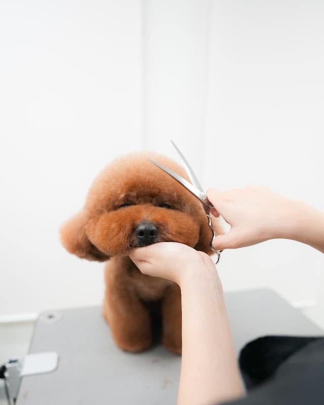トリミングサロン Brilliantの写真3