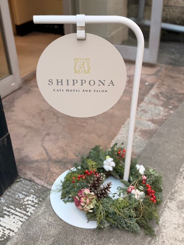 SHIPPONA CATS HOTEL AND SALONの写真4