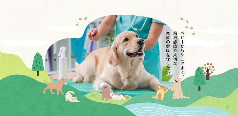 りんご動物病院さっぽろ犬猫歯科の写真