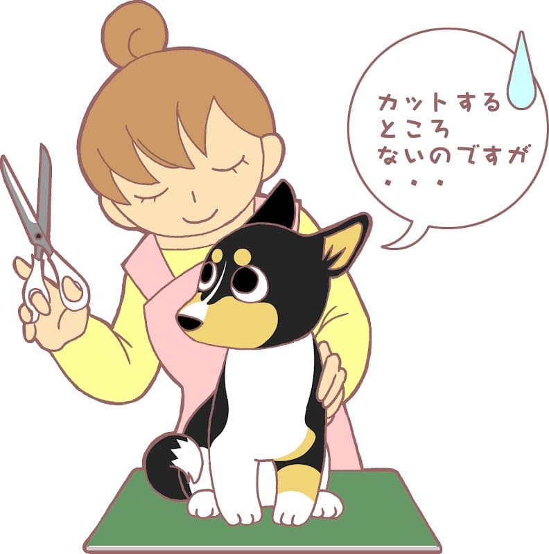 Dog's〝心身〟Beauty 美しの森の写真1