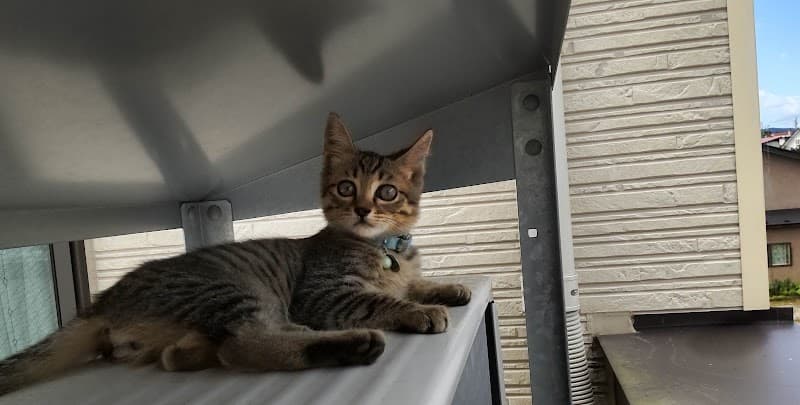 いせだ動物クリニックの写真