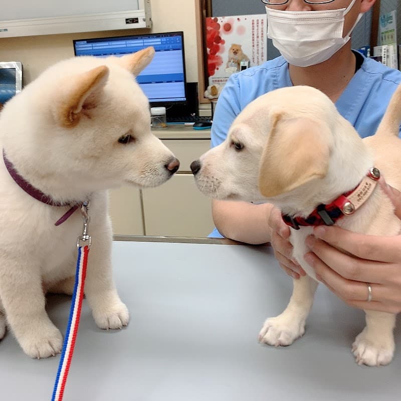 くら動物病院つつじヶ丘の写真