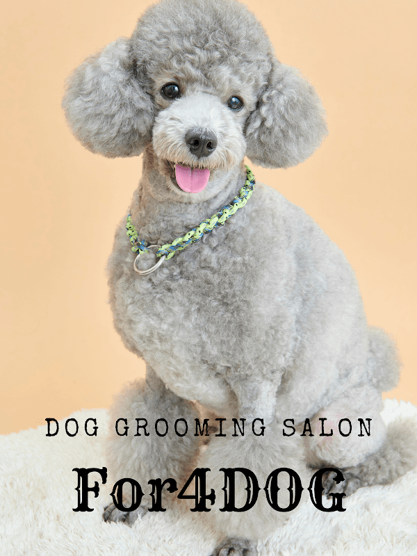 For4DOG フォードッグの写真