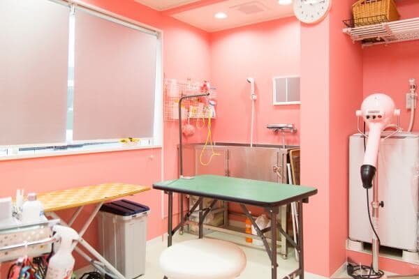 トリミングサロンPEPの写真