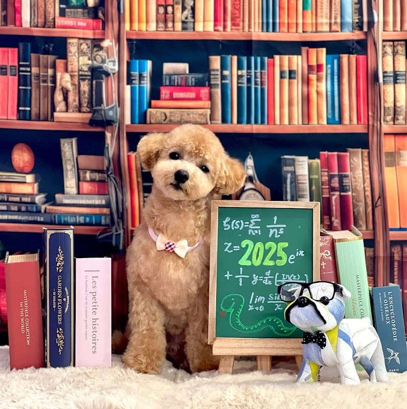 pet salon おかげ犬の写真