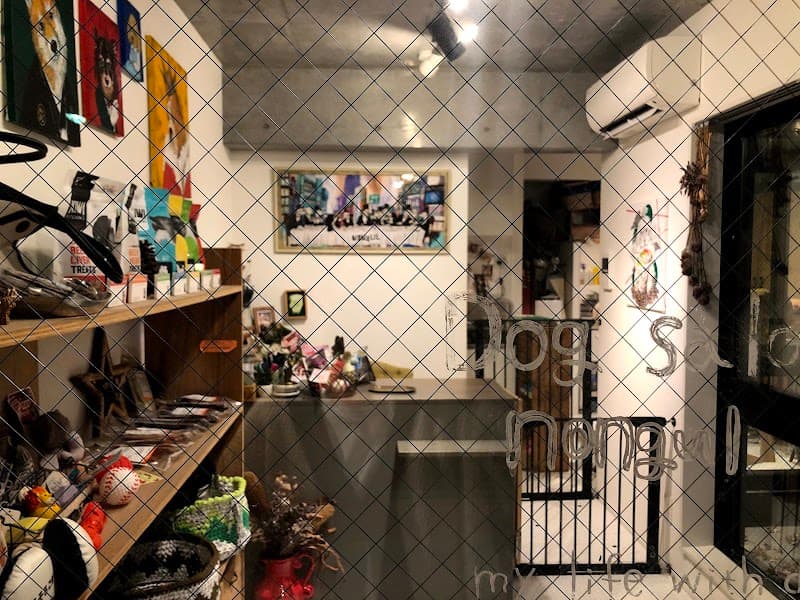 dog salon nongulの写真