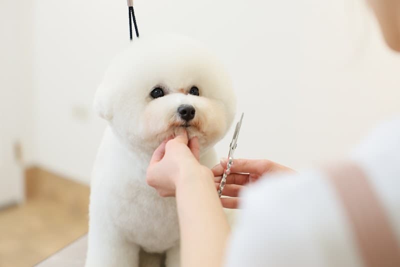 happily trimの写真