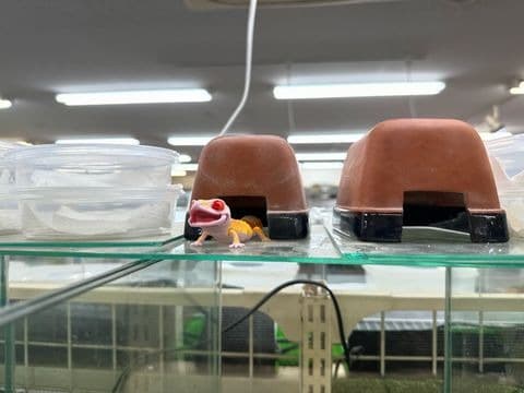 ペットプラザ21の写真1