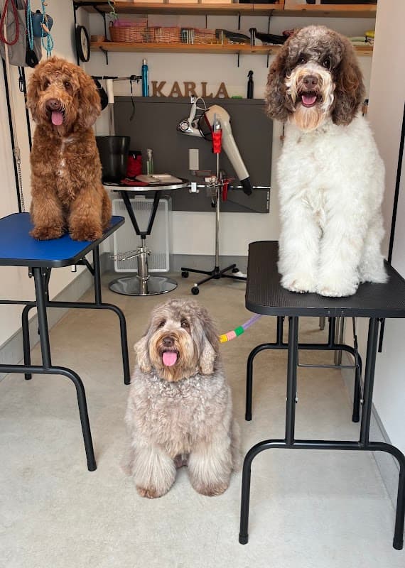 Karla dog salonの写真