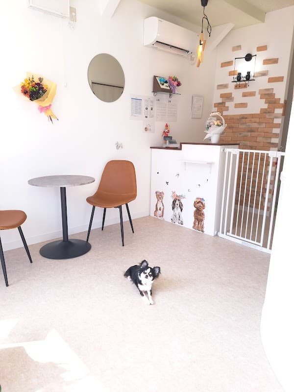 DogSalon WANRANK / ワンランクの写真4