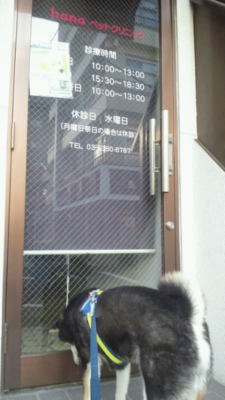 hanaペットクリニックの写真