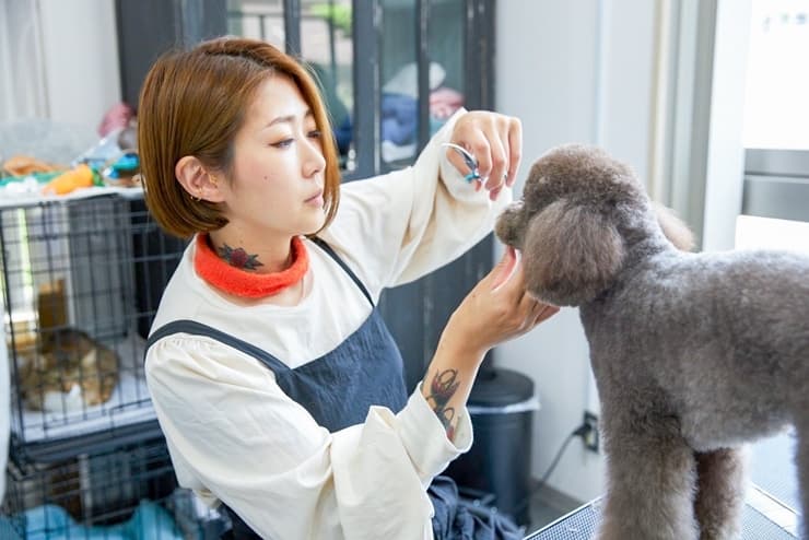 meetsHAND+forDOG&CAT 勝どき店の写真2