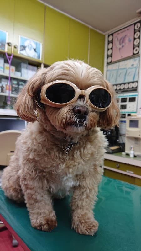 人吉動物病院の写真