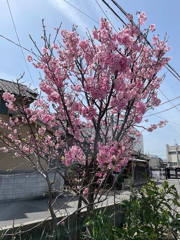 あみあみペットクリニックの写真