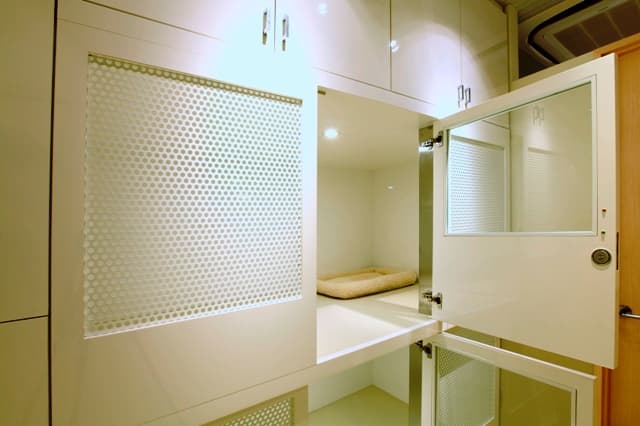 ドッグスタジオ ラブワン!!銀座新富の写真4