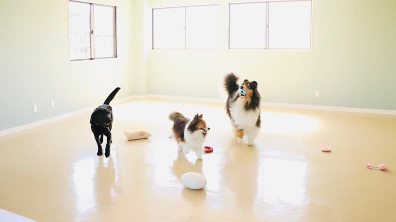 犬の保育園&ペットホテルPAWSOME(パウサム)の写真