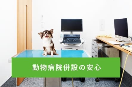 トリミング&ペットホテル (高田馬場動物病院併設)の写真