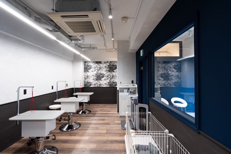 ドッグサロン Ruri-B 浦和店の写真