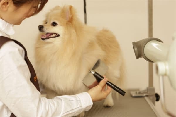 PET-SPA 横浜ベイクォーター店の写真1