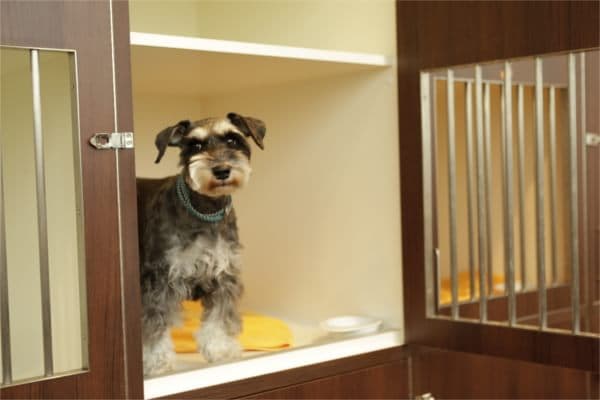 PET-SPA 横浜ベイクォーター店の写真5