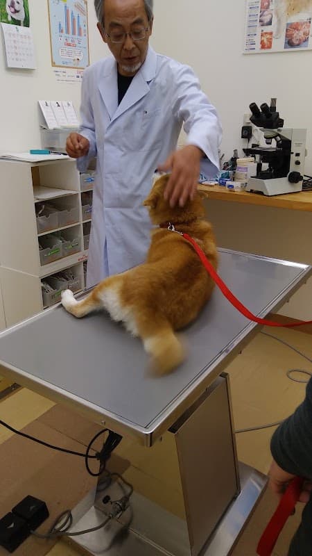 かねうち犬猫病院の写真