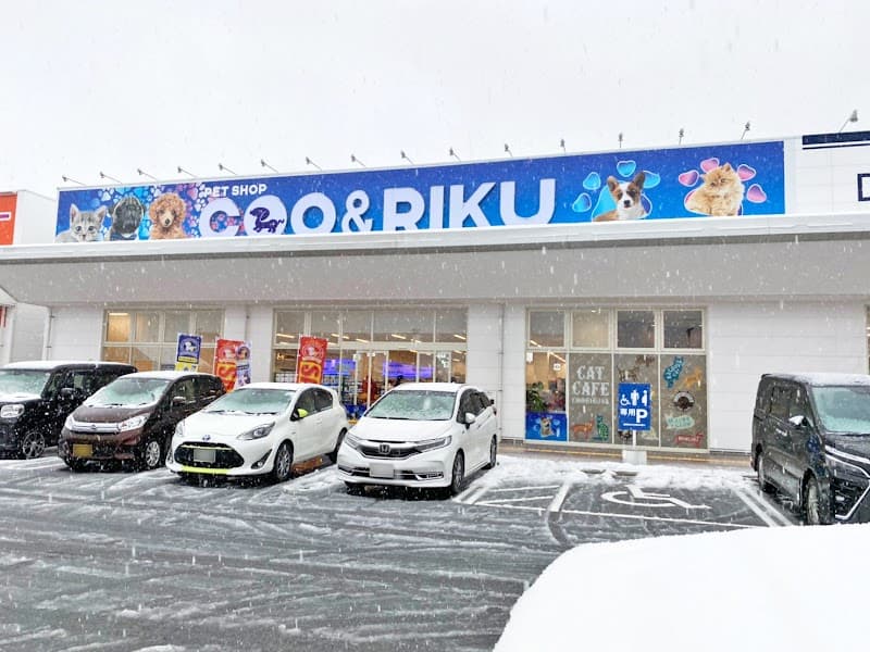 ペットショップCoo&RIKU ラ・ムー鳥取東店の写真
